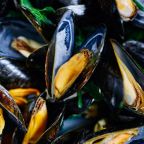 Pacific Seafood specialise in mussels, amongst other species. a bowl of cooked mussels