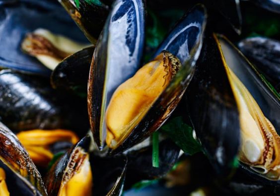a bowl of cooked mussels
